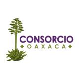 consorciooaxaca
