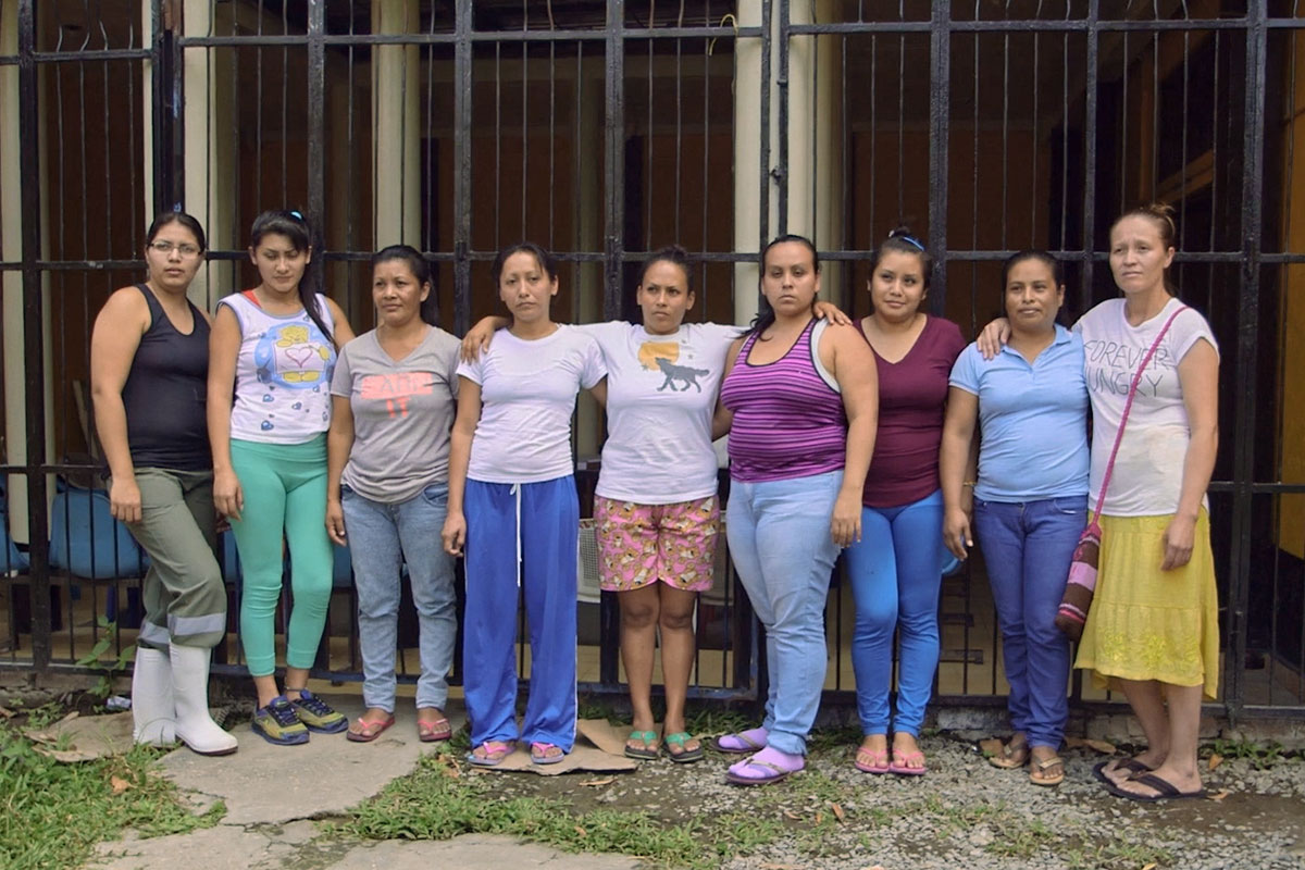 Cuerpos juzgados